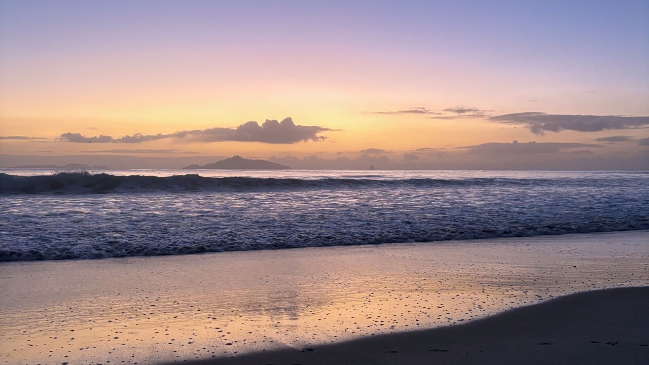 Photo of Others in Waipu Cove