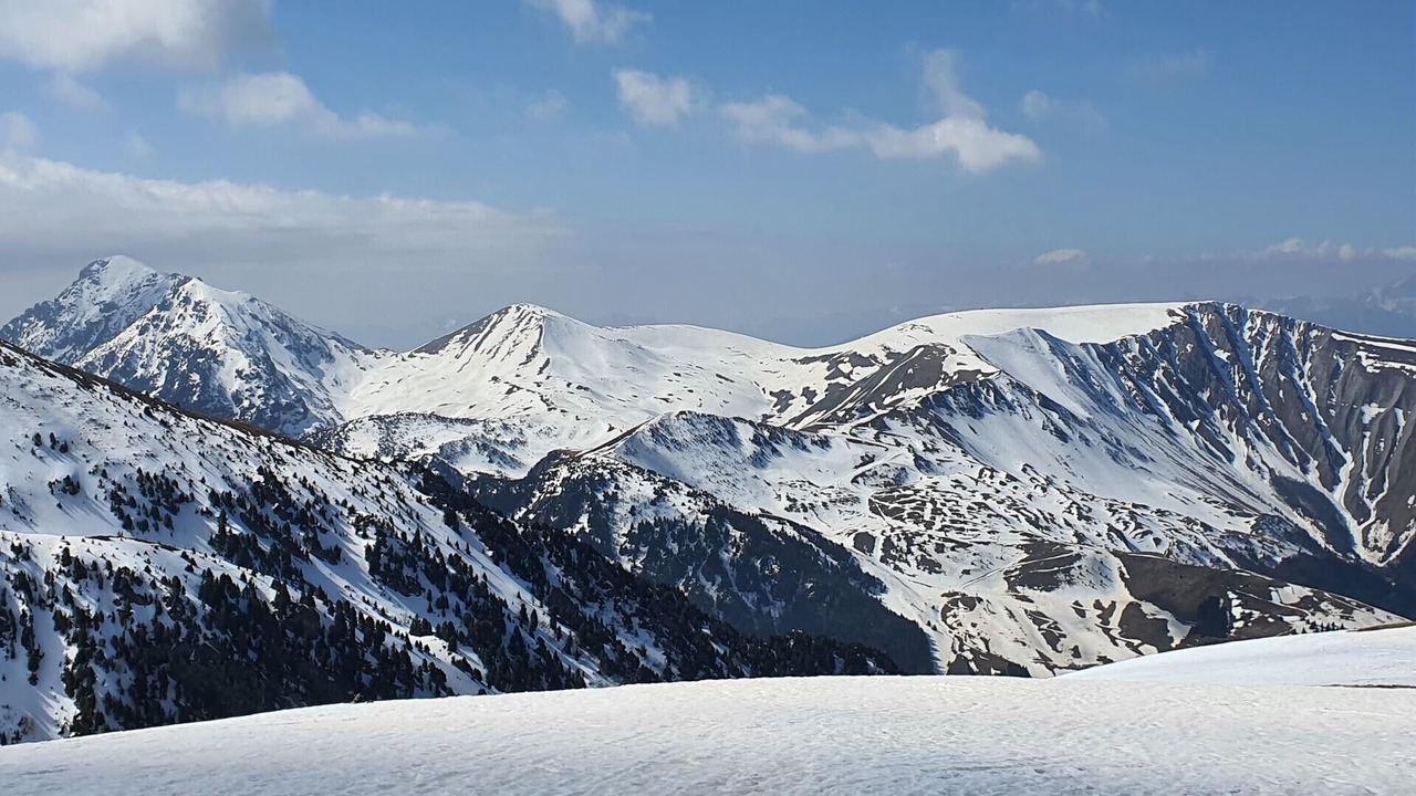 Photo of Others in Susville