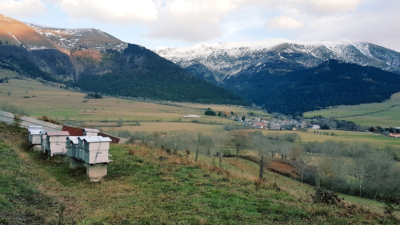 Photo of Others in Susville