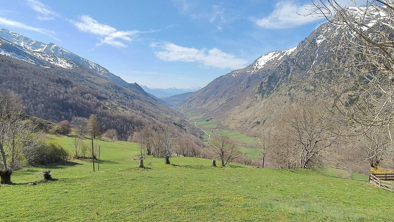 Photo of Others in Susville