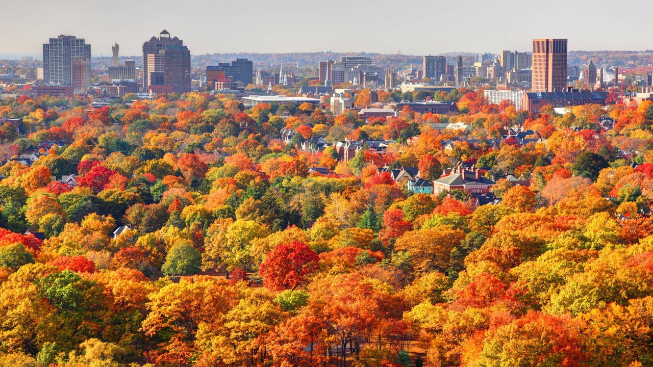 Photo of Others in Milford