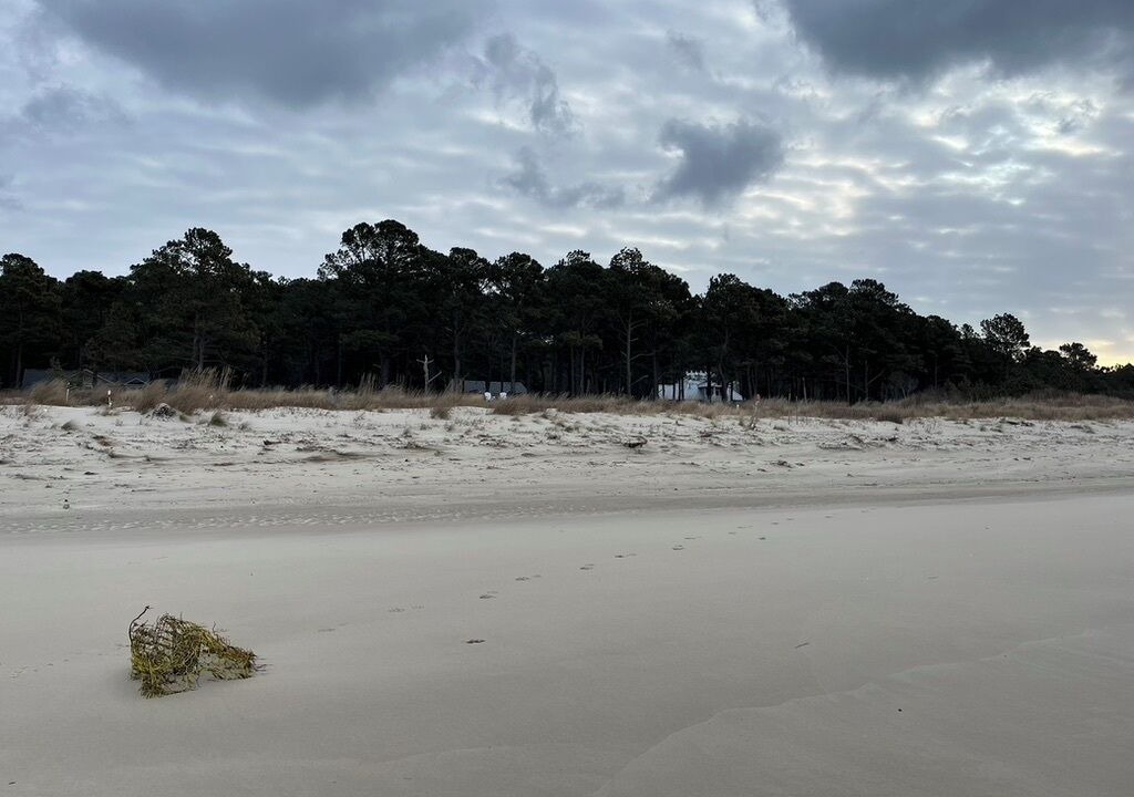 Photo of Others in Bay Ridge