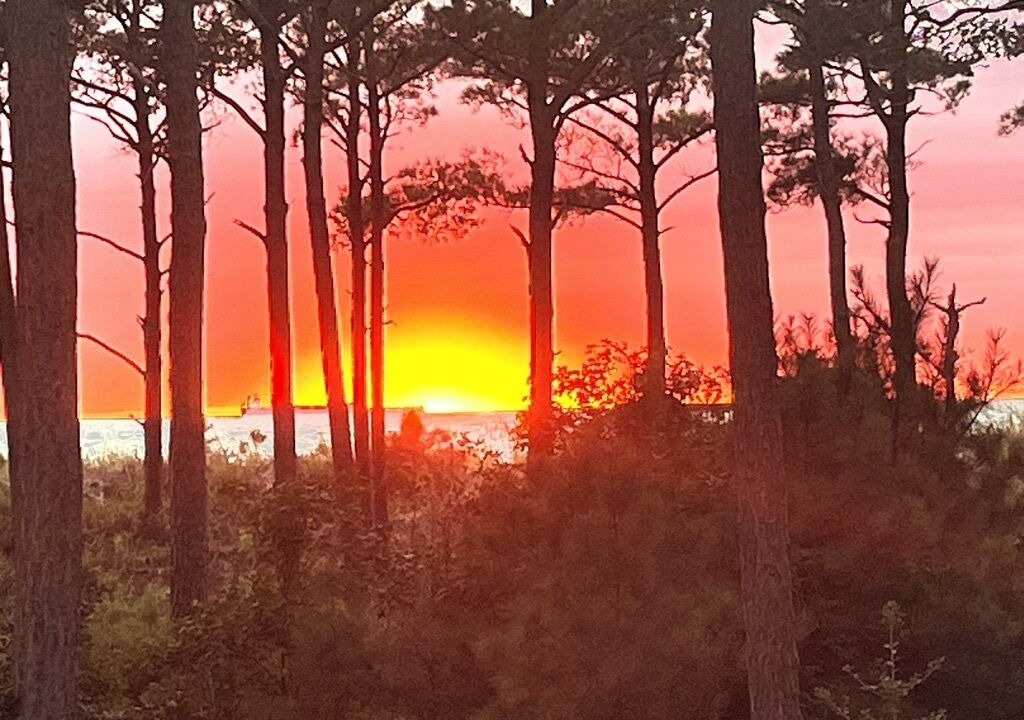 Photo of Others in Bay Ridge