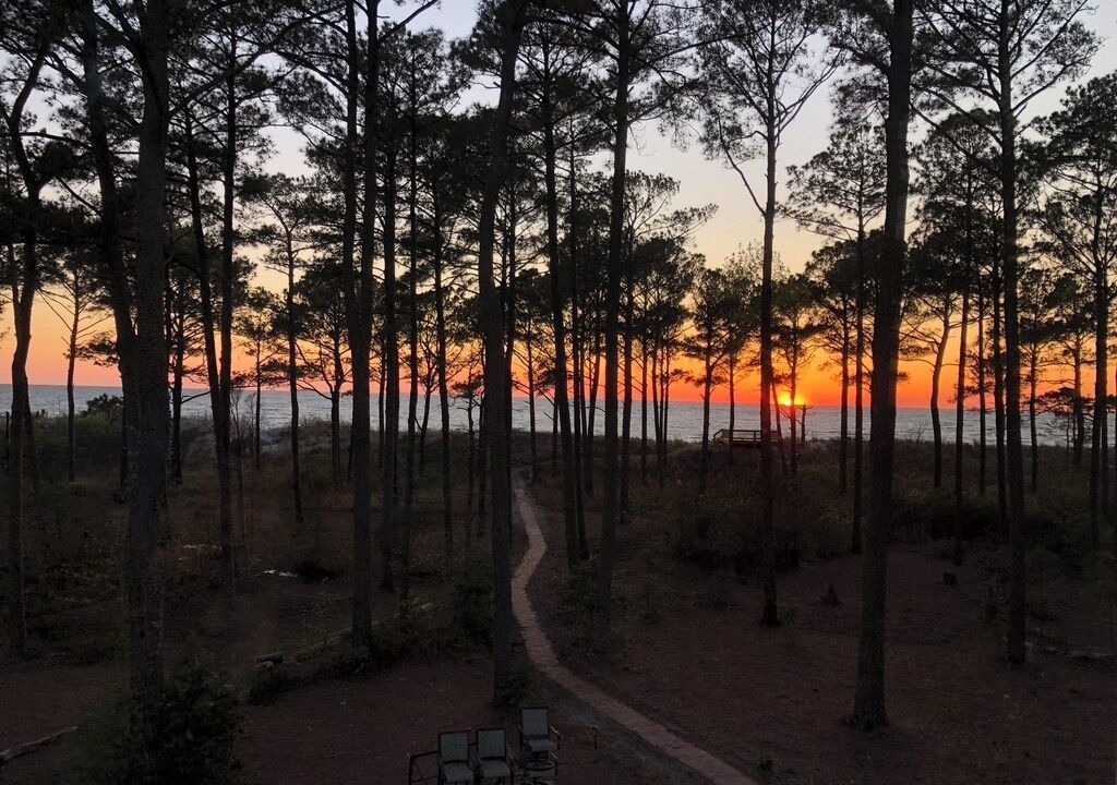 Photo of Others in Bay Ridge