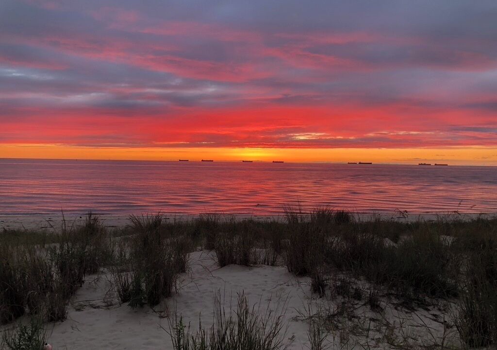 Photo of Others in Bay Ridge