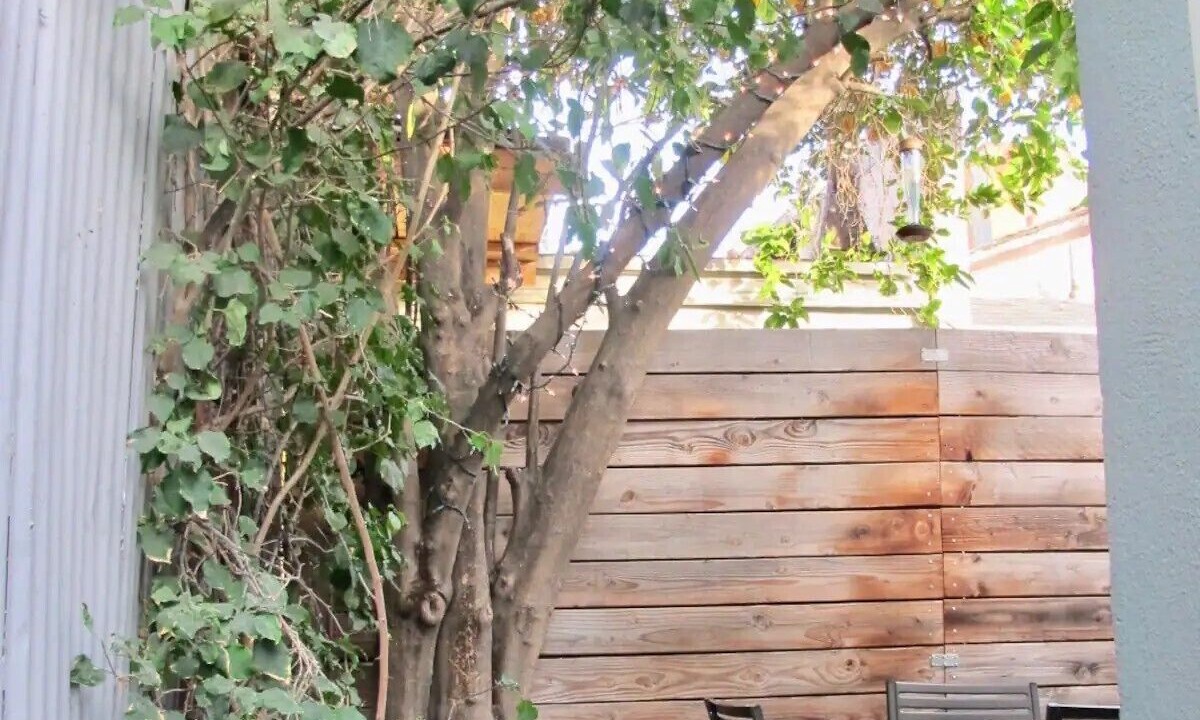 Photo of Outdoor in NoHo Arts District