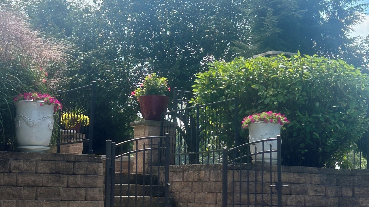 Photo of Outdoor in New Carlisle