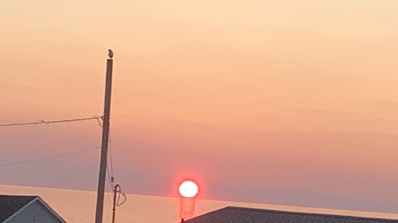 Photo of Others in Margaretsville