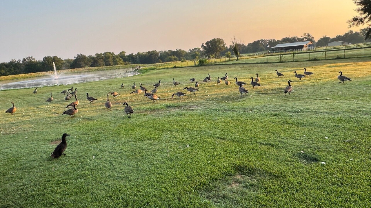 Photo of Others in Wills Point