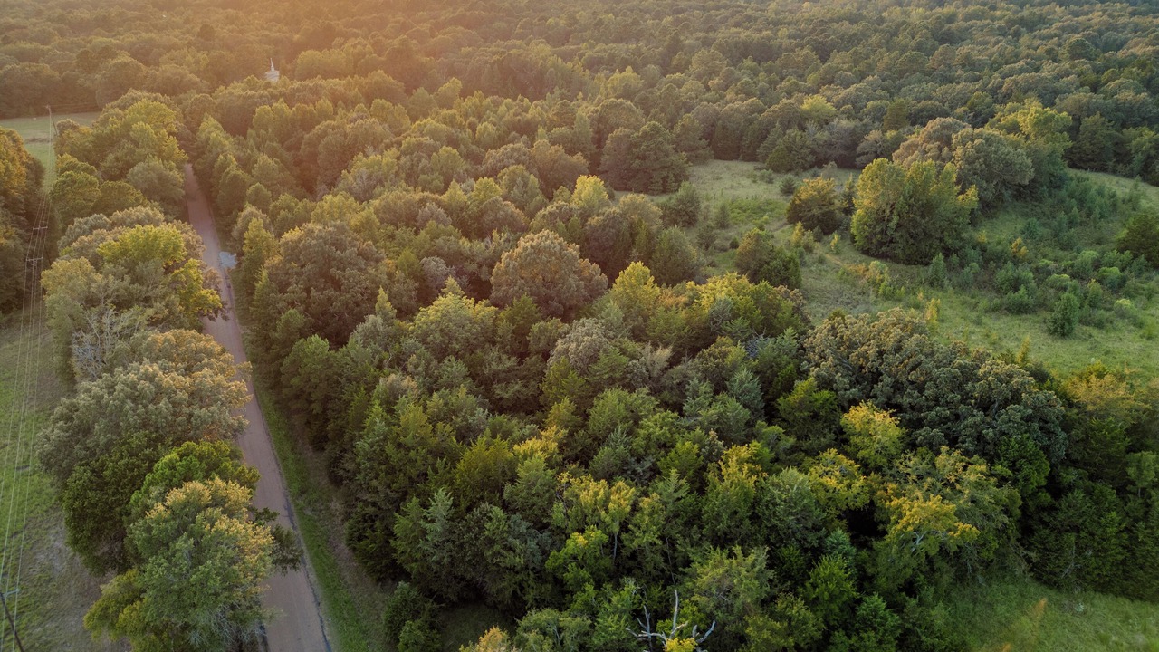 Photo of Outdoor in Van Zandt County