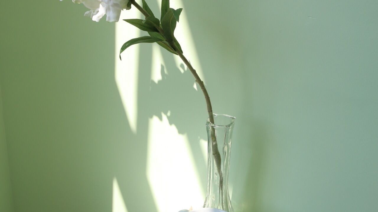 Photo of Others in Historic District - North