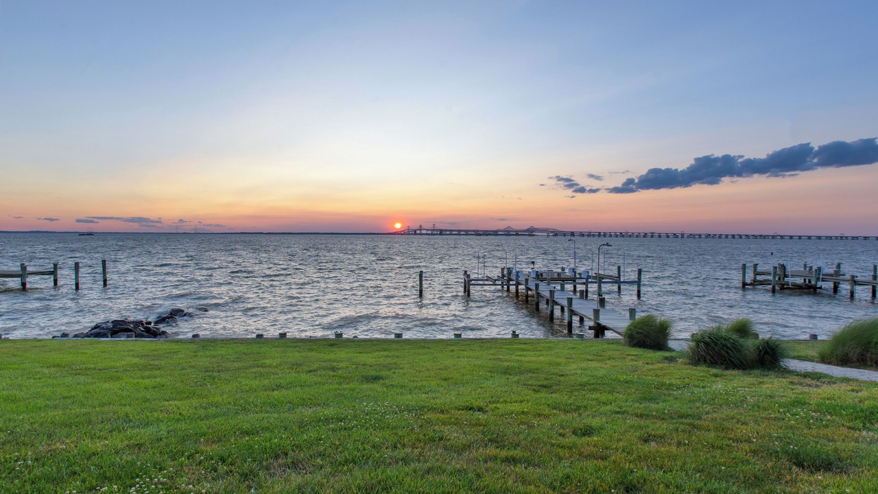 Photo of Others in Stevensville