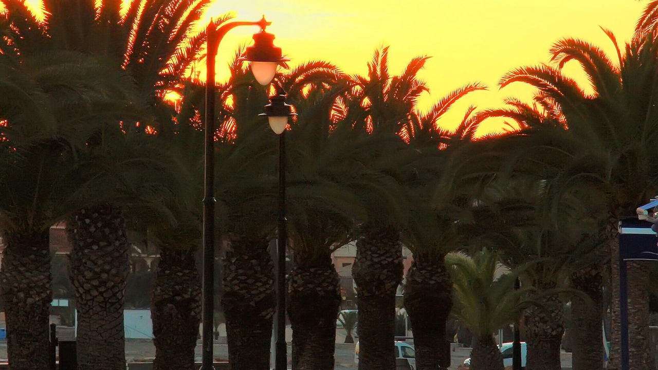 Photo of Others in San Pedro del Pinatar