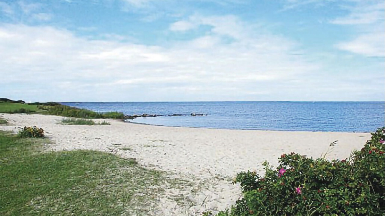 Photo of Others in Skaven Strand