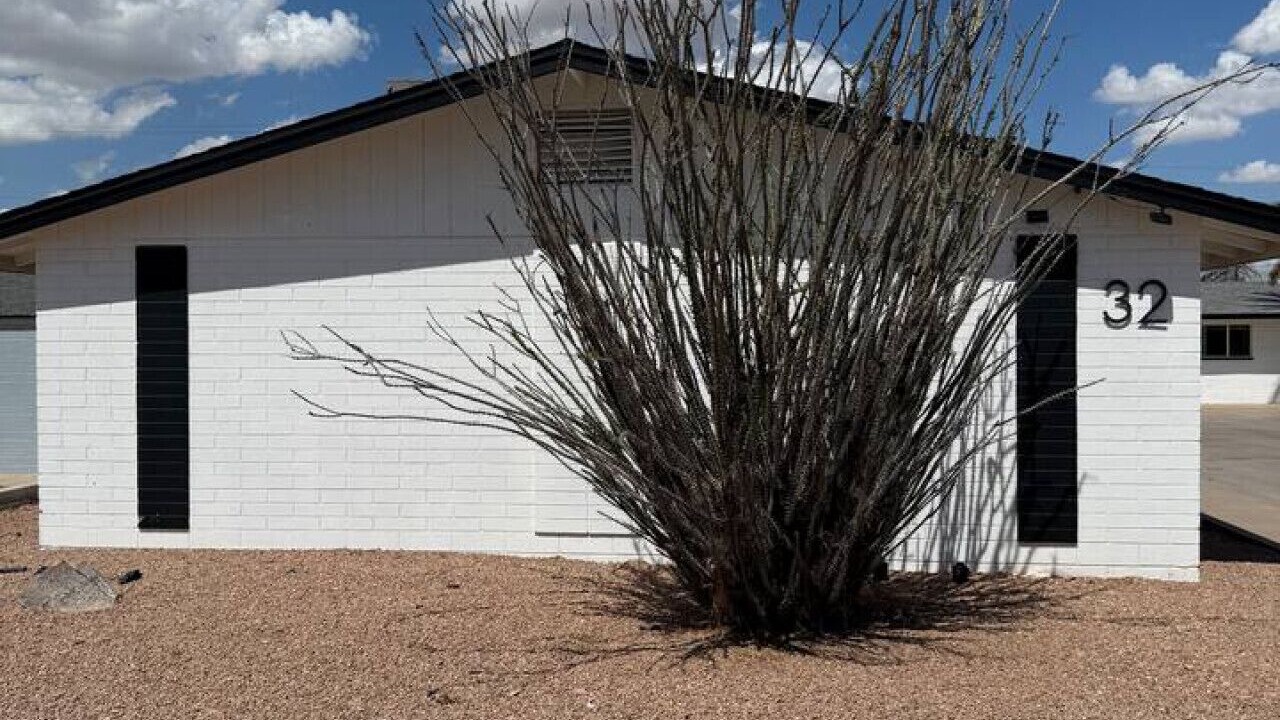 Photo of Outdoor in Mesa