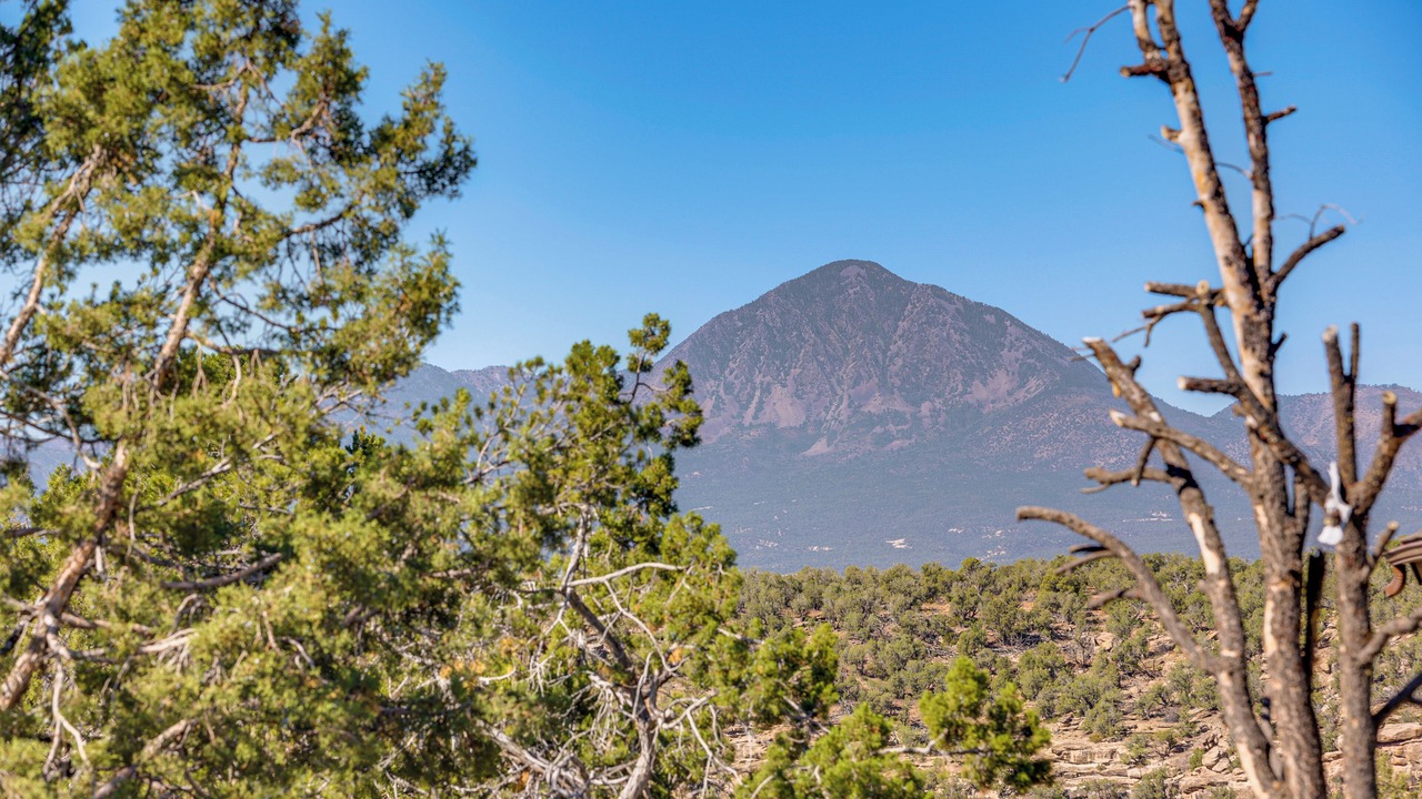 Photo of Others in Cortez