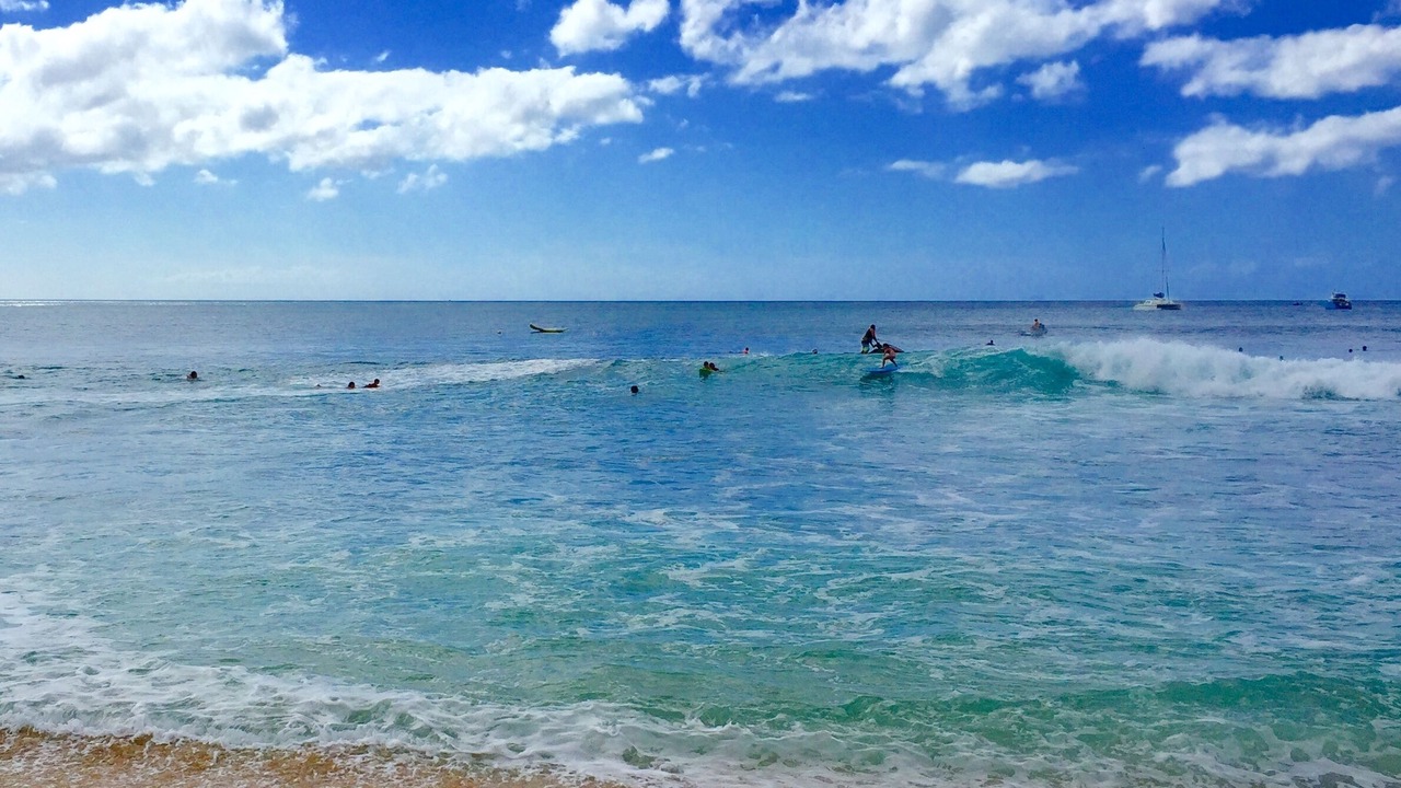 Photo of Others in Makaha Valley