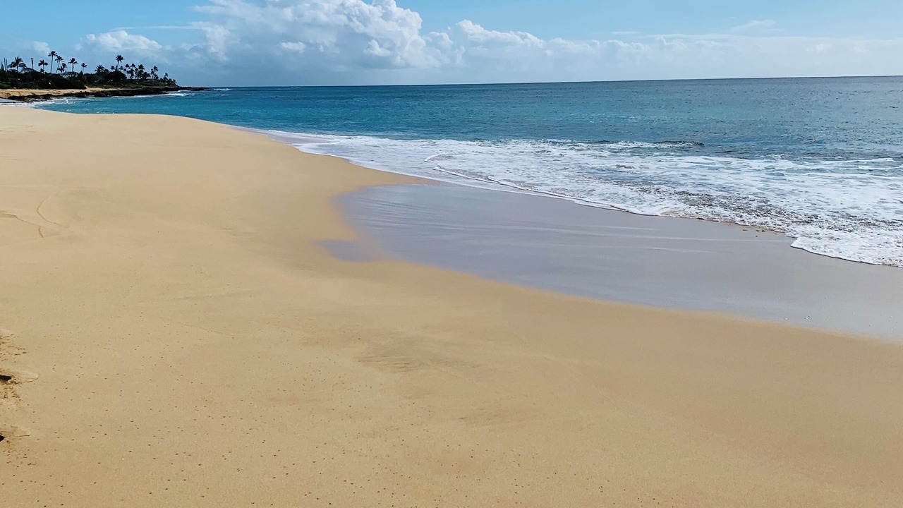 Photo of Others in Makaha Valley