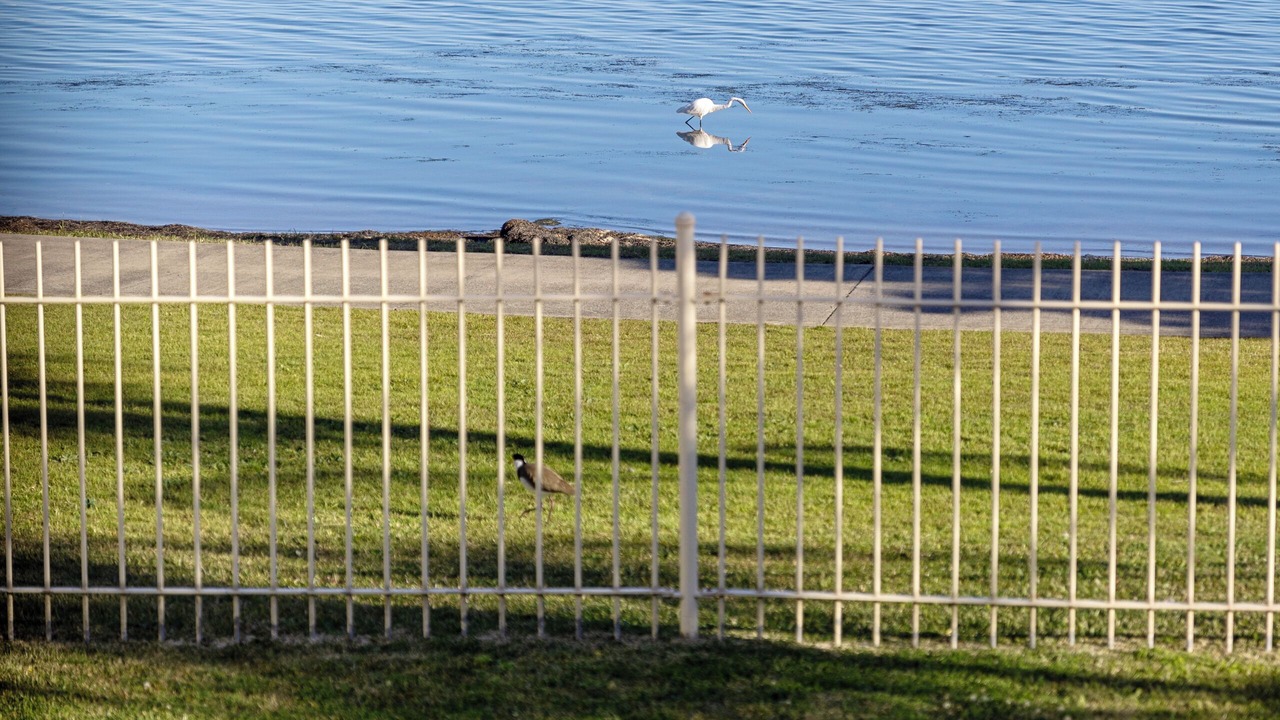 Photo of Others in Buff Point