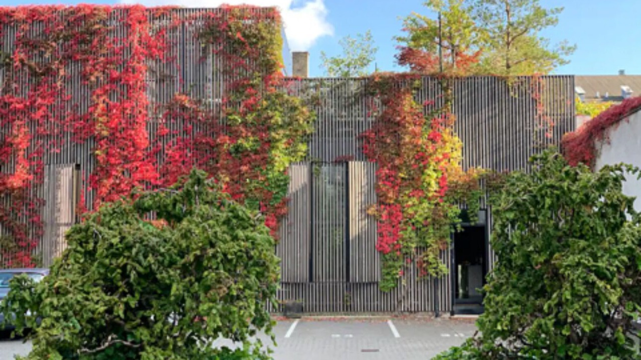 Photo of Outdoor in Amager