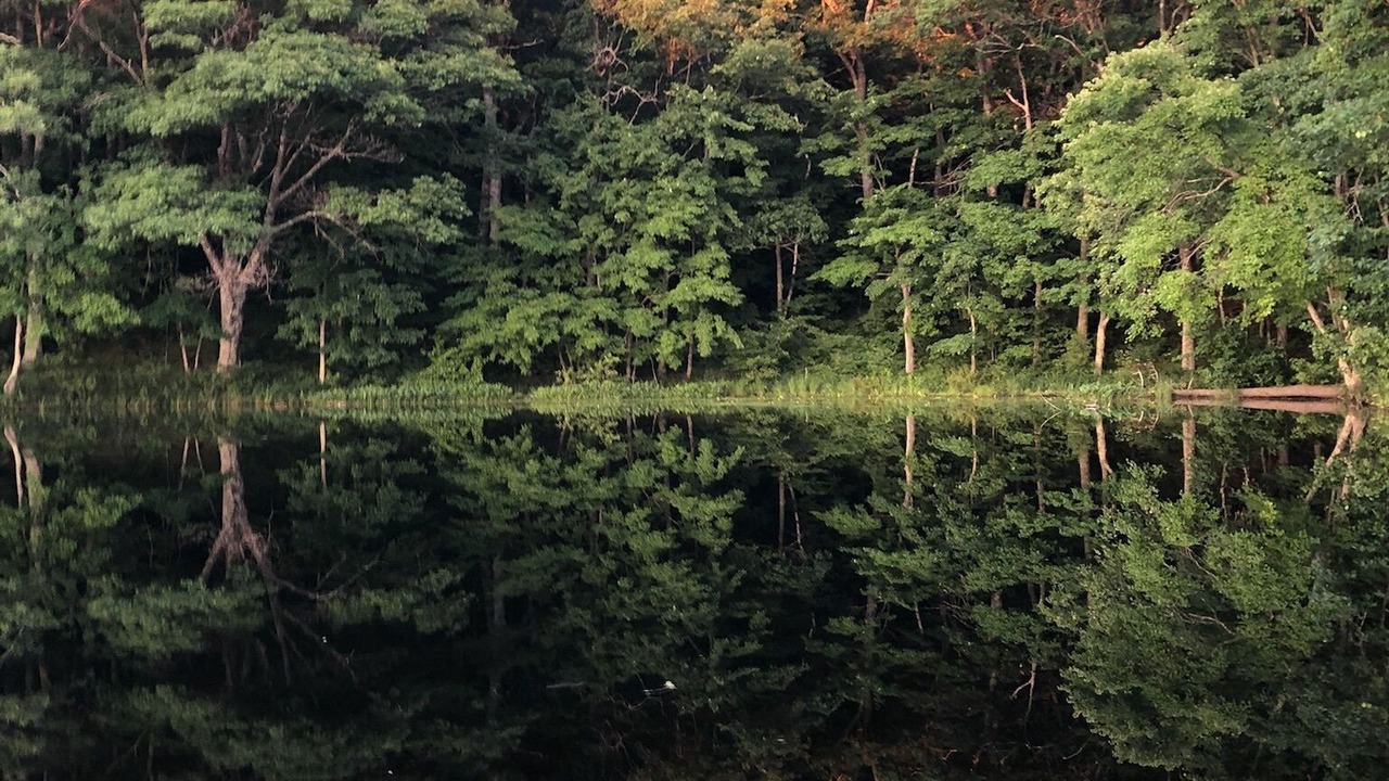 Photo of Others in Stone Lake