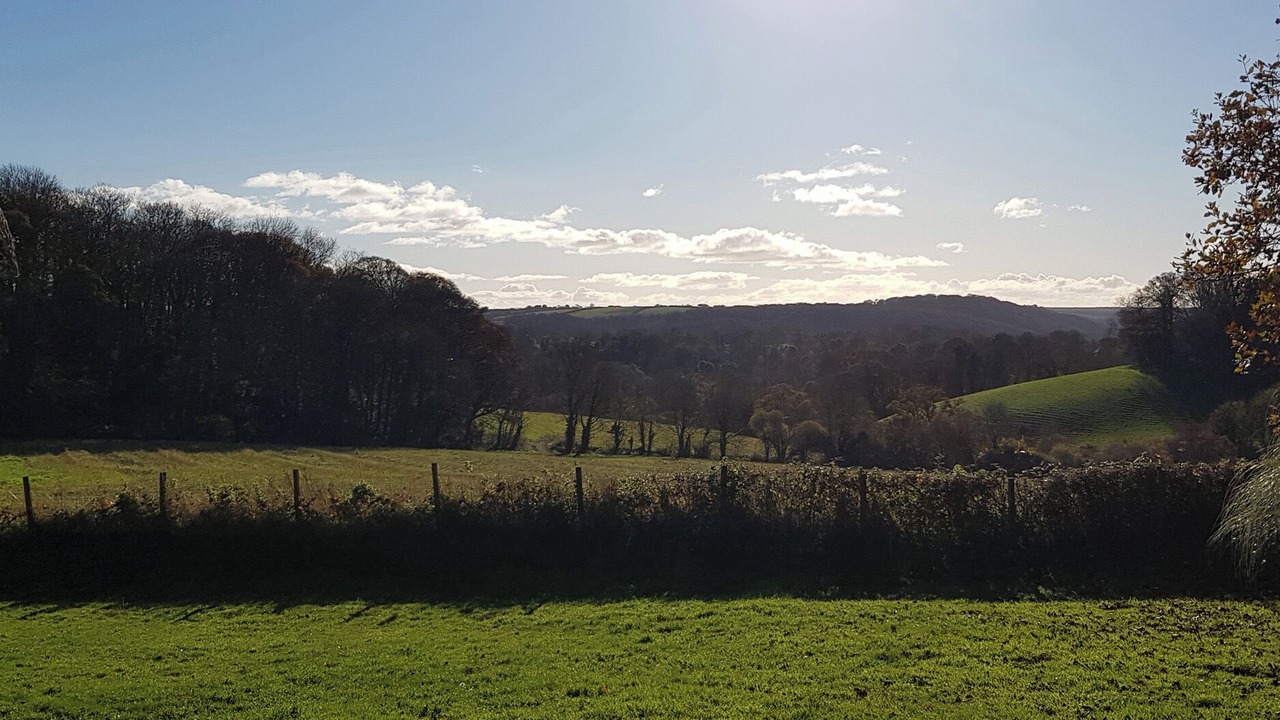 Photo of Others in Newton Ferrers