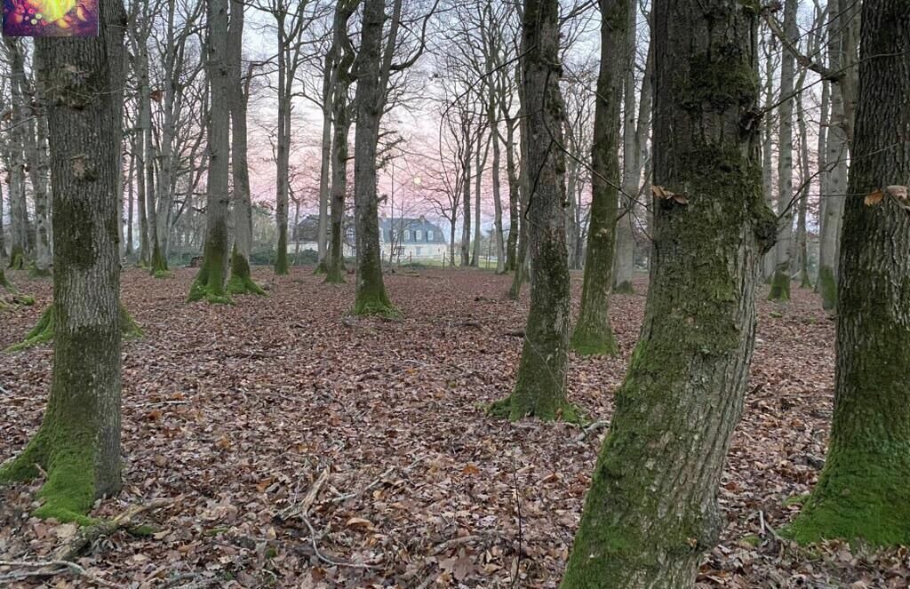 Photo of Others in Mettray