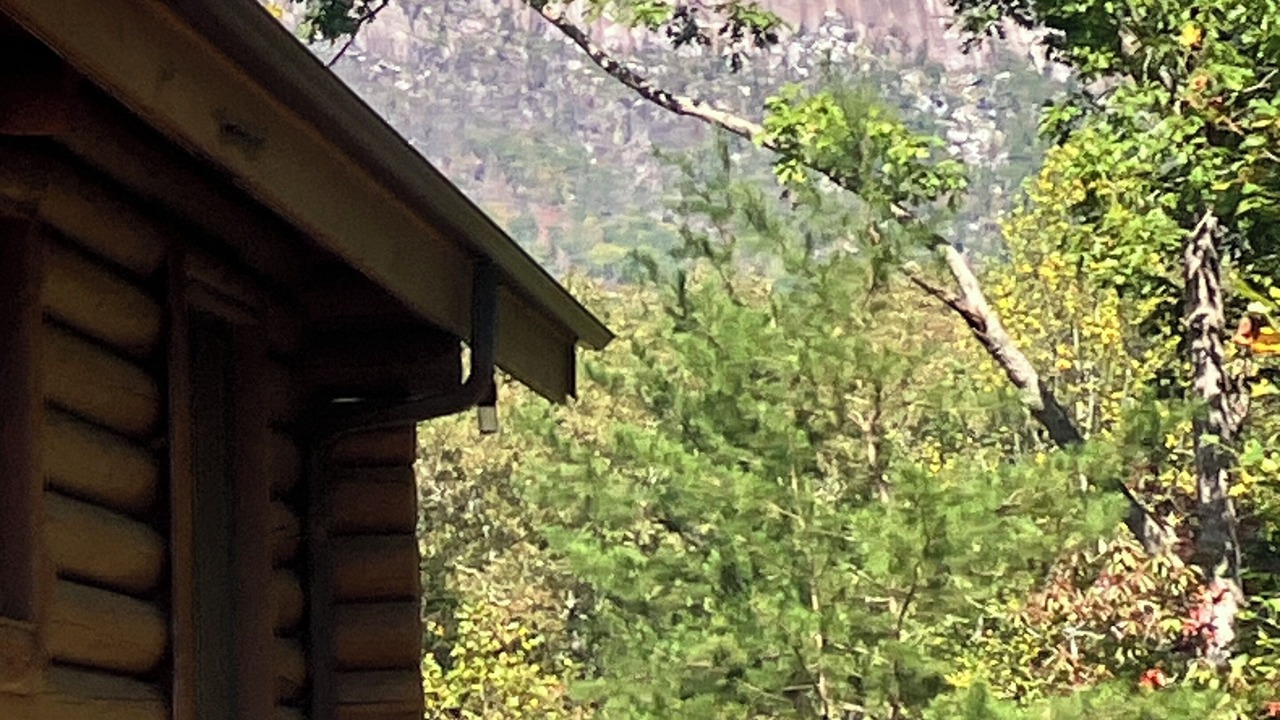 Photo of Others in Pickens