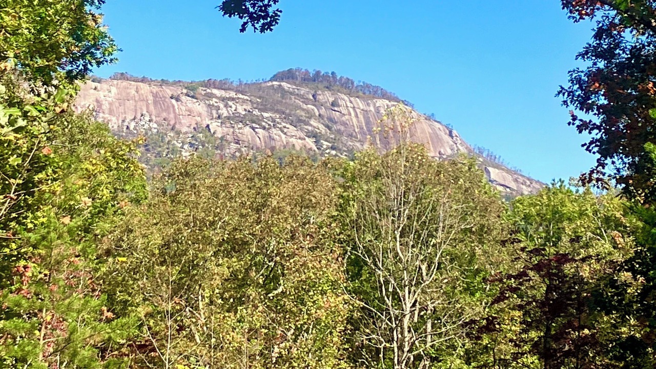 Photo of Outdoor in Pickens