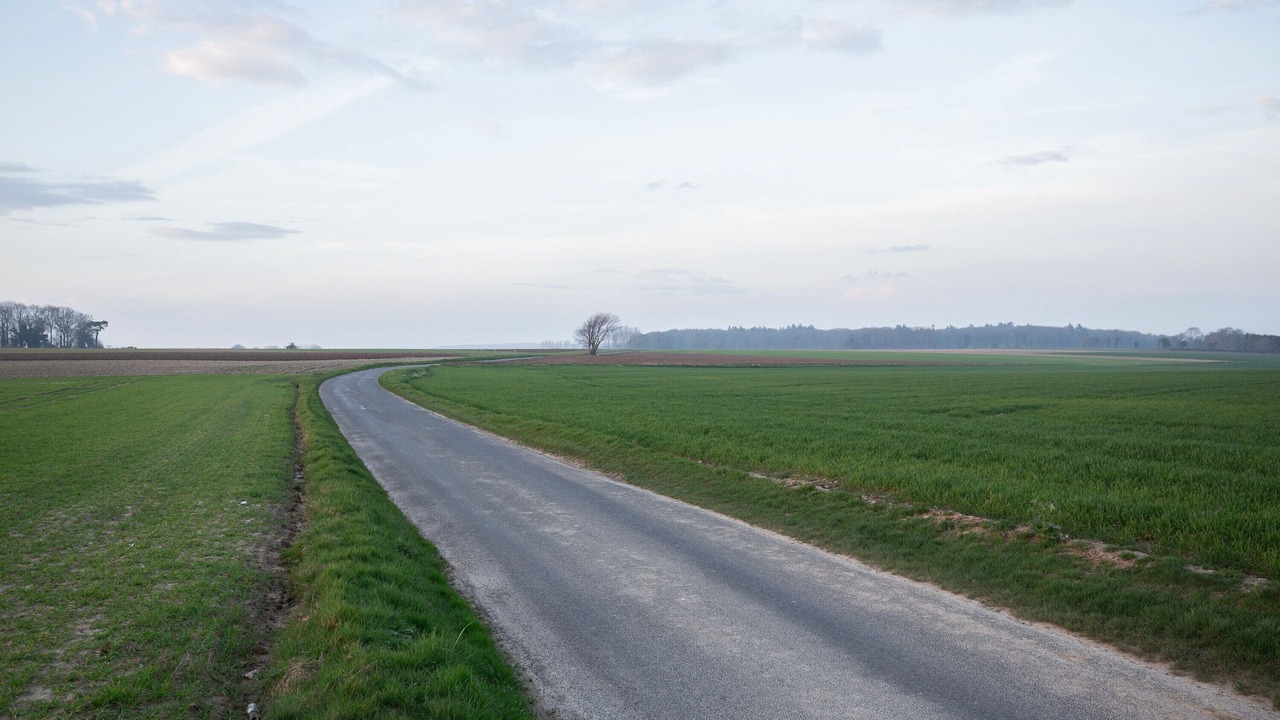 Photo of Others in Franleu