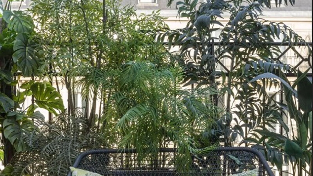 Photo of Patio Balcony in 6th Arrondissement