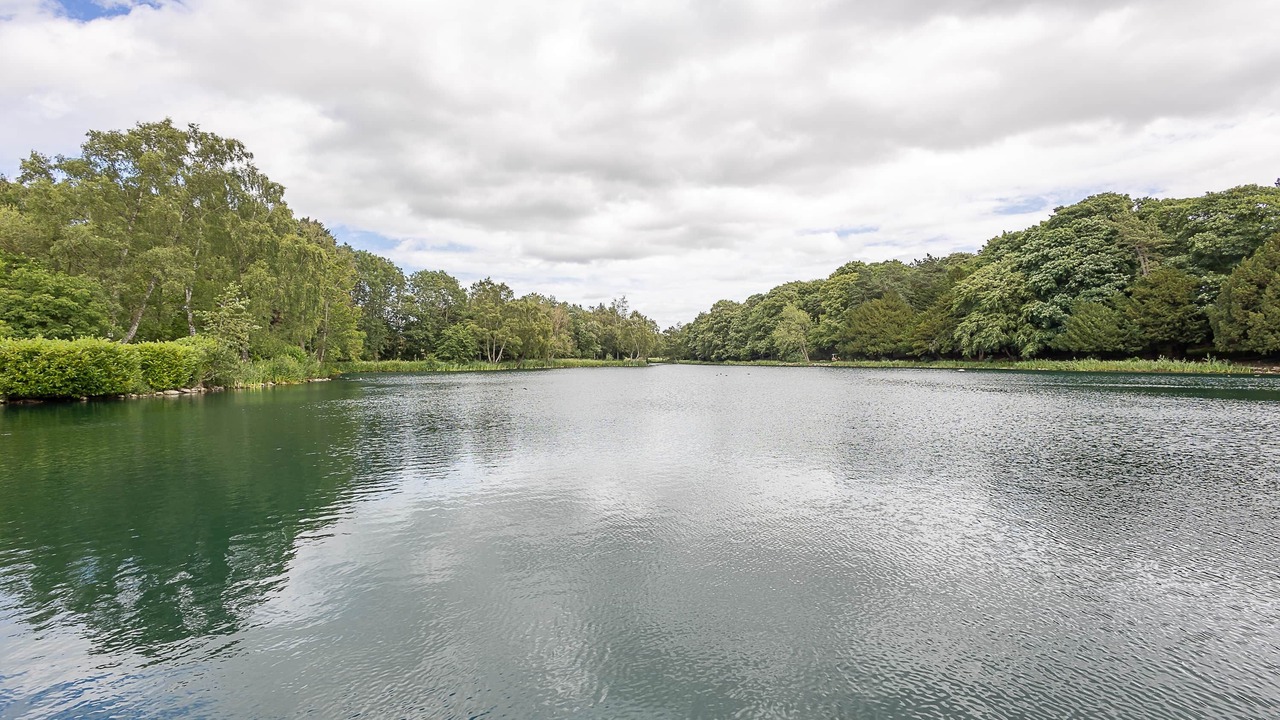 Photo of Others in Stocksfield