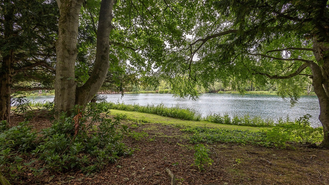 Photo of Others in Stocksfield