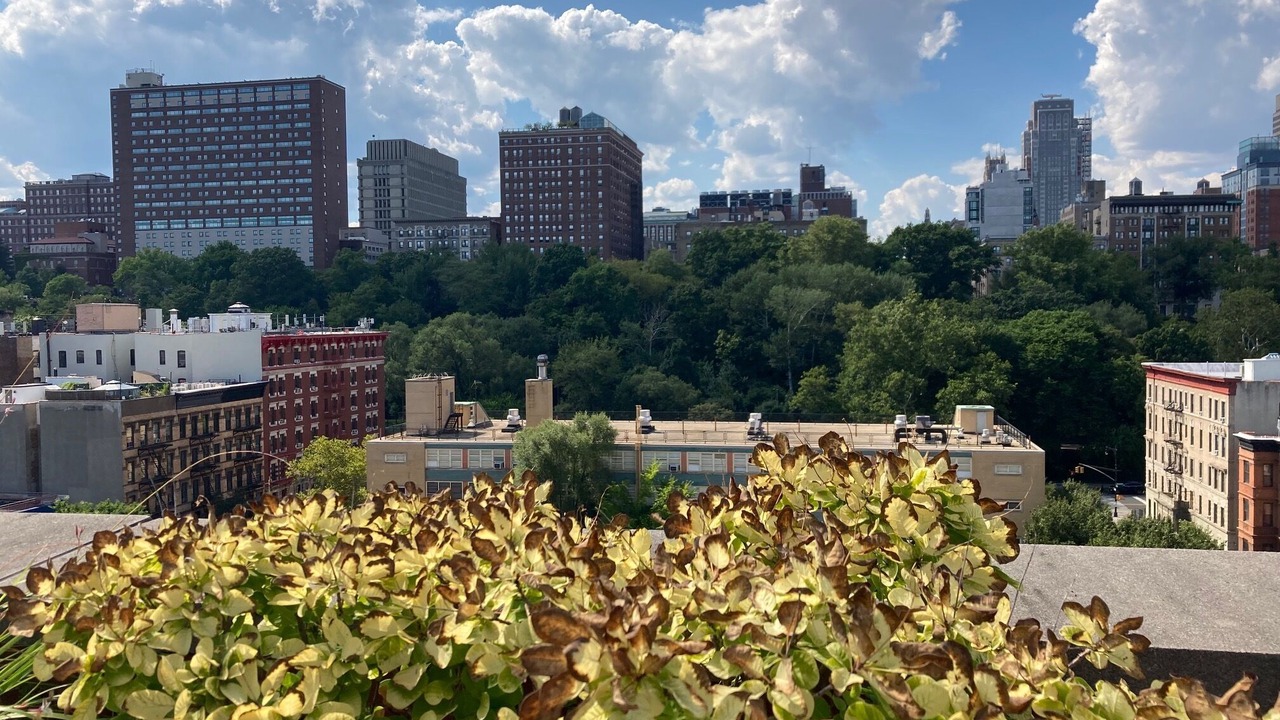 Photo of Others in Central Park North