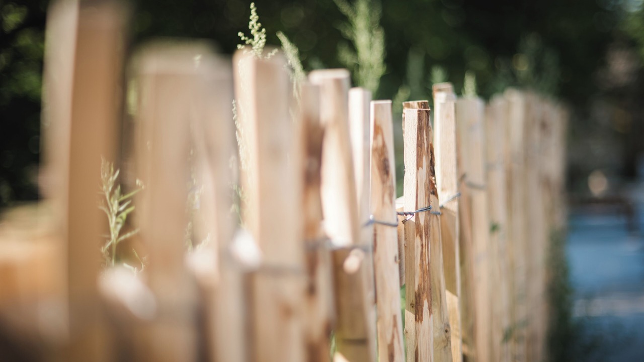 Photo of Others in Vitrac