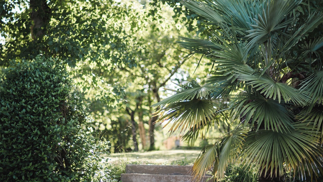 Photo of Outdoor in Vitrac