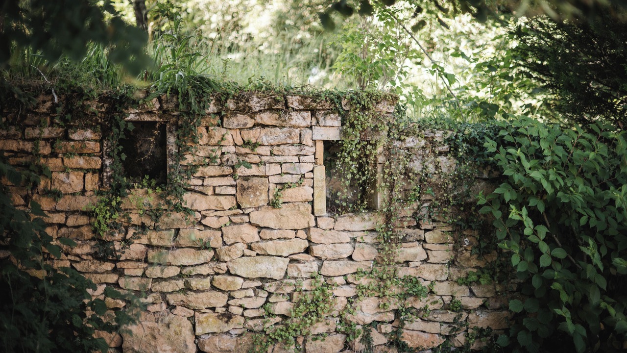 Photo of Outdoor in Vitrac