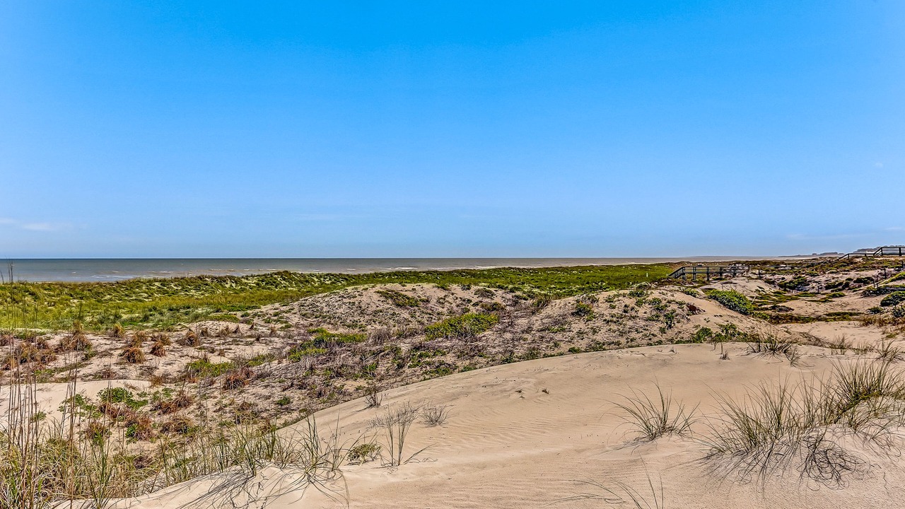 Photo of Others in American Beach