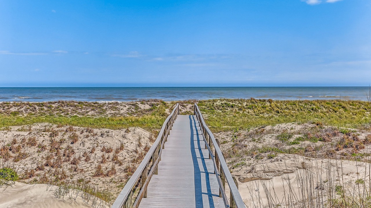 Photo of Others in American Beach
