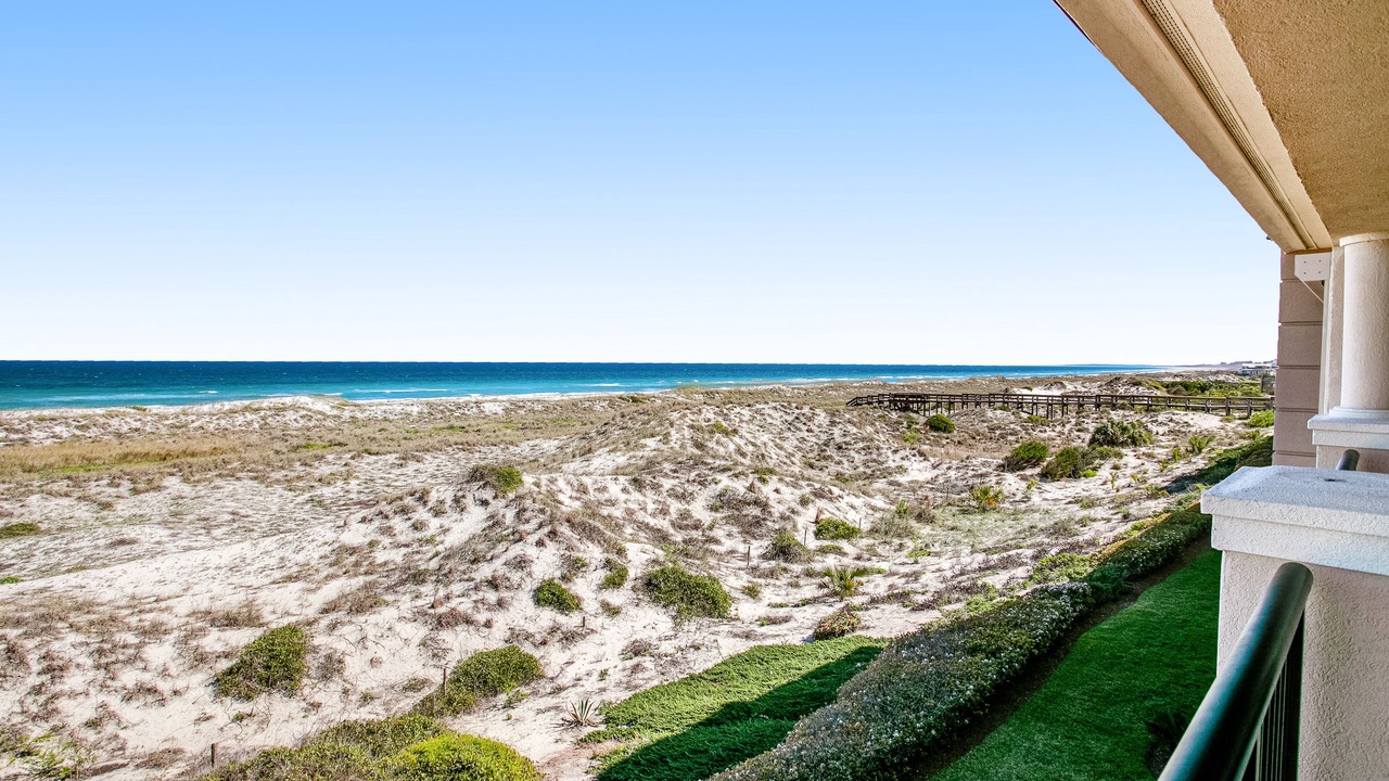 Photo of Others in American Beach