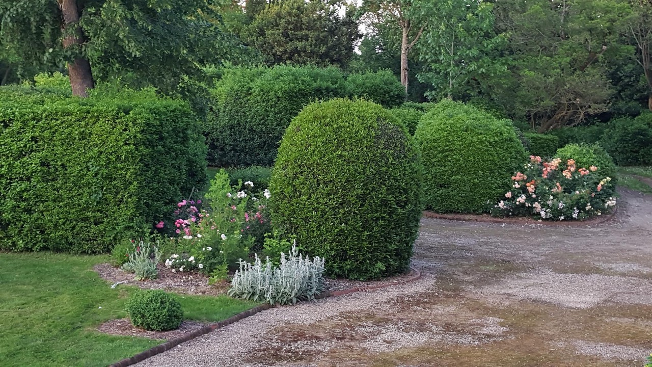 Photo of Outdoor in Aigrefeuille