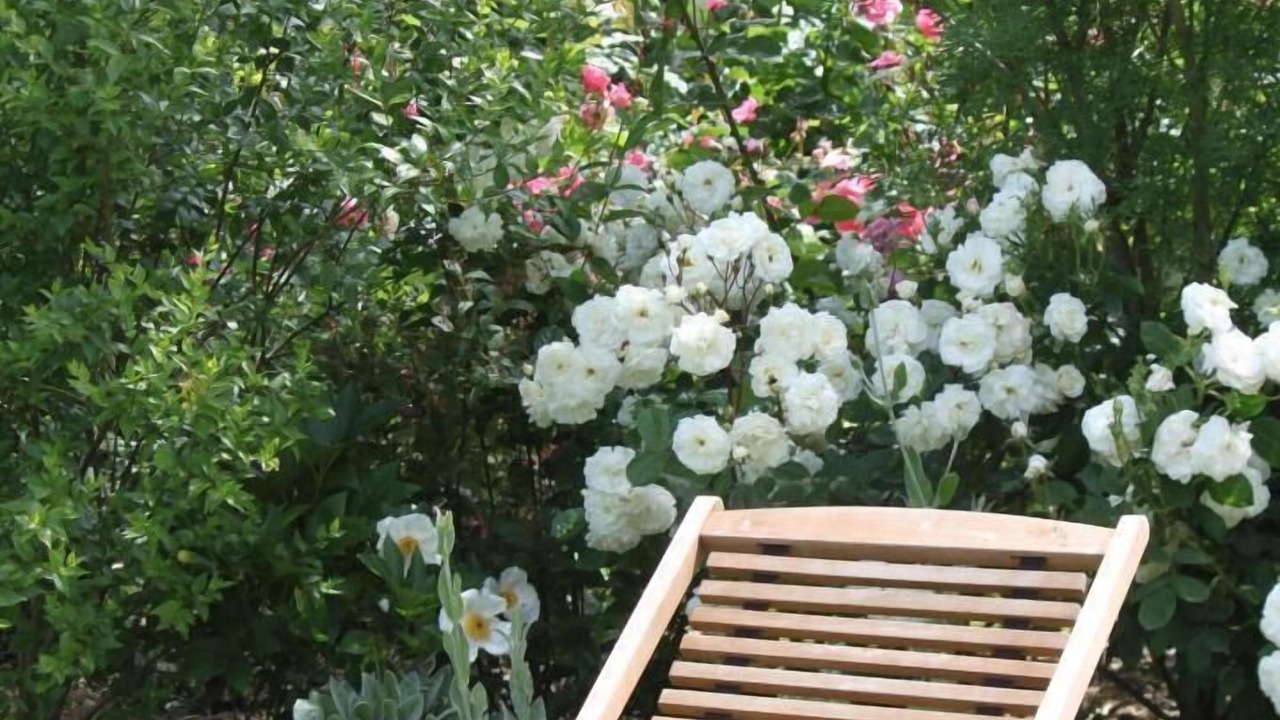 Photo of Outdoor in Aigrefeuille