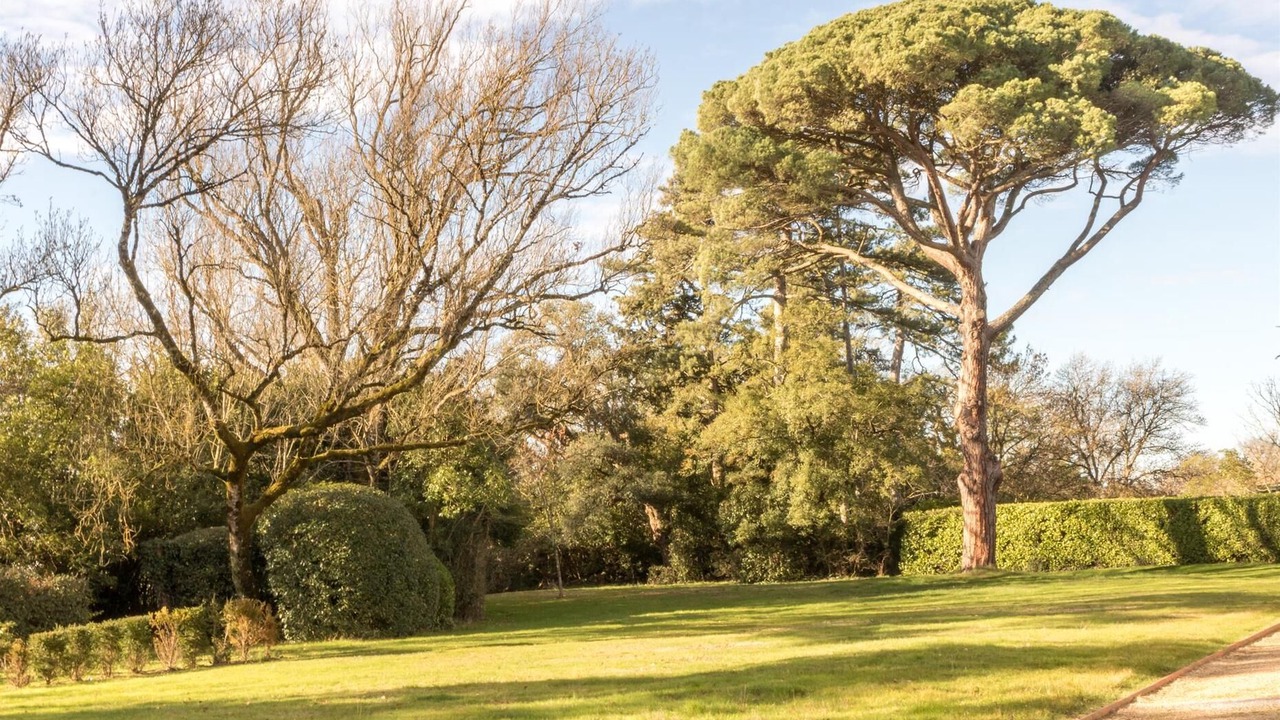 Photo of Outdoor in Aigrefeuille