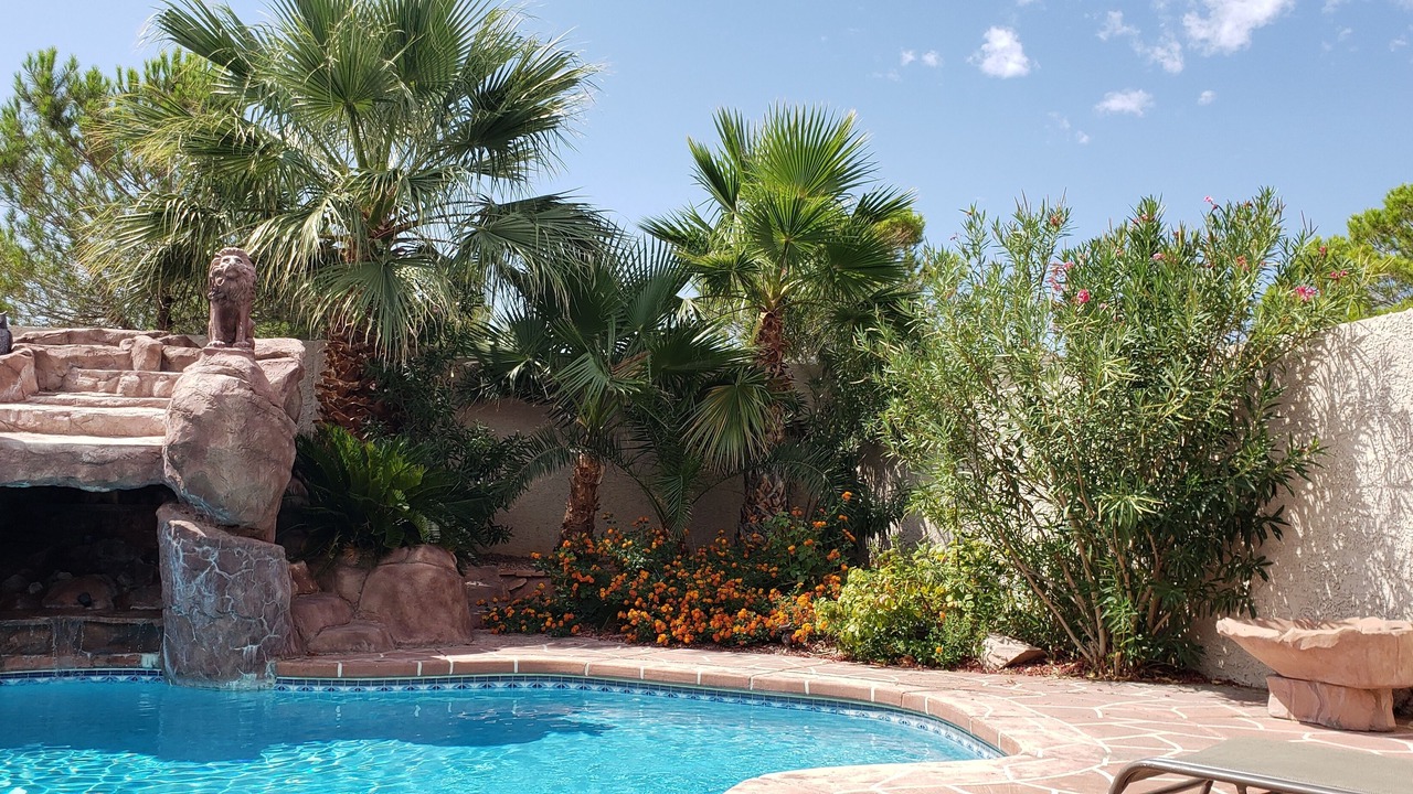 Photo of Outdoor in Summerlin