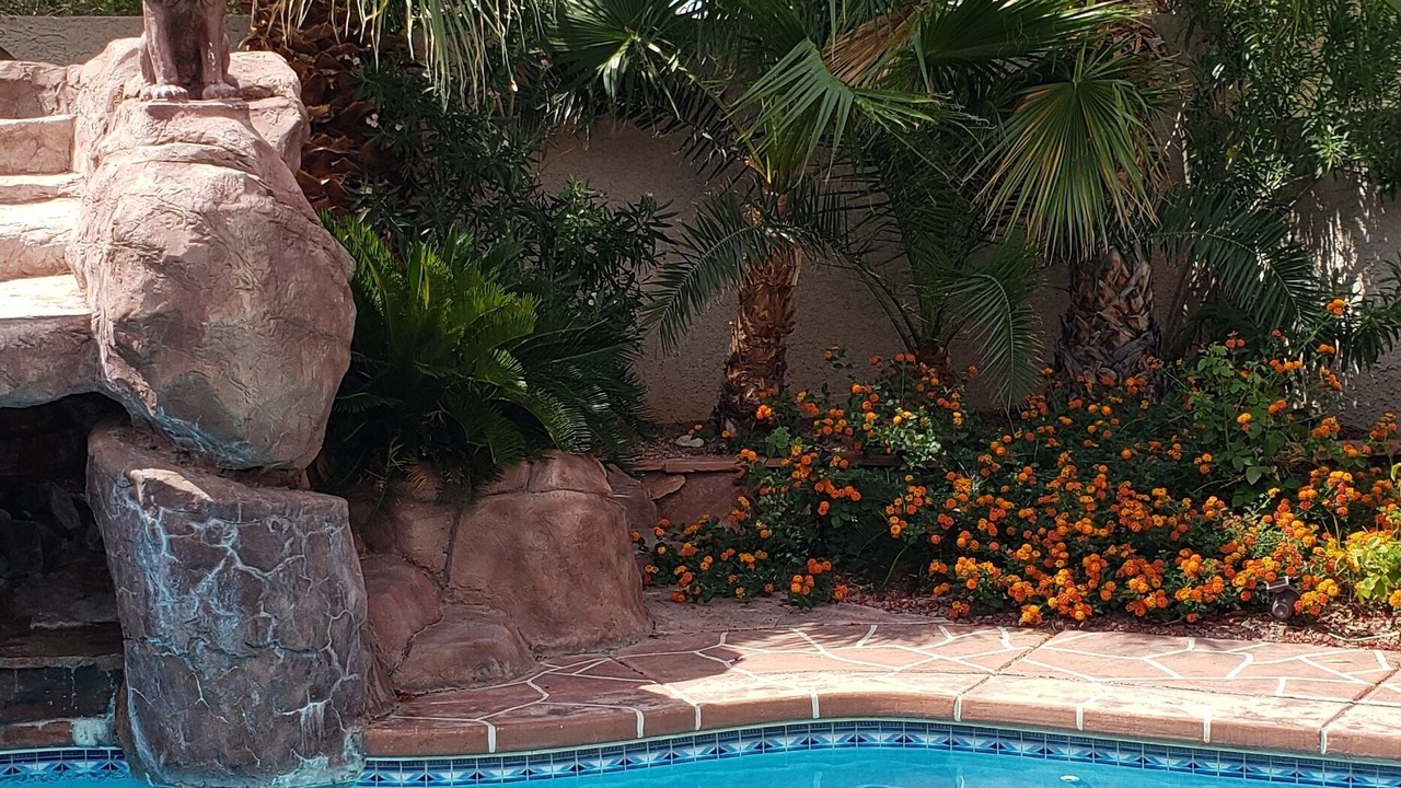 Photo of Outdoor in Summerlin