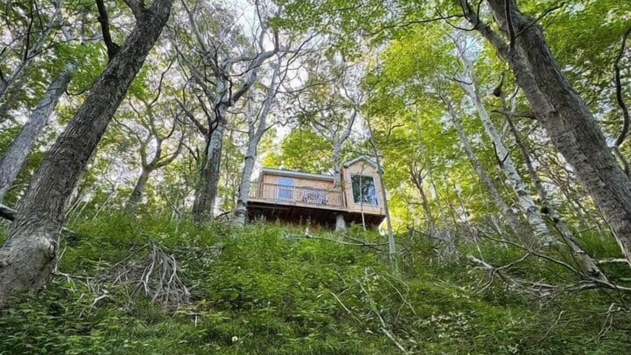 Photo of Outdoor in Pleasant Bay