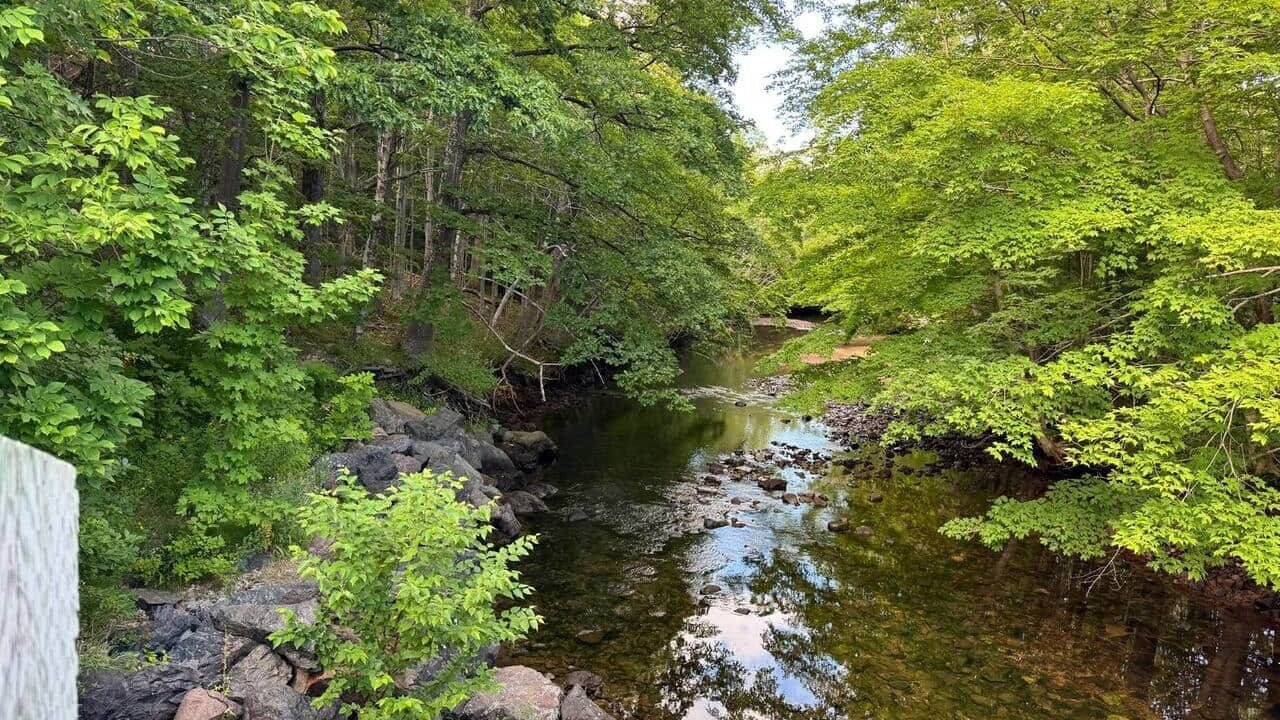 Photo of Others in Pleasant Bay
