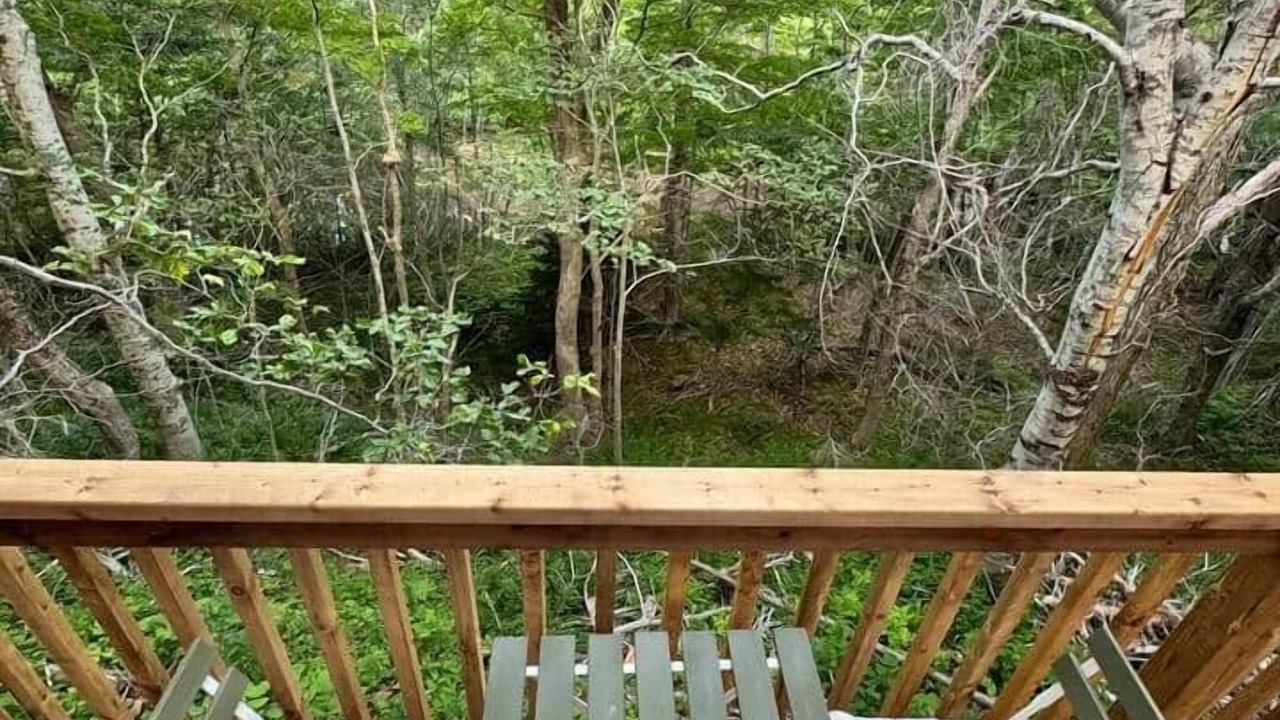 Photo of Outdoor in Pleasant Bay