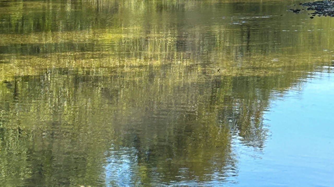Photo of Others in Flint Creek