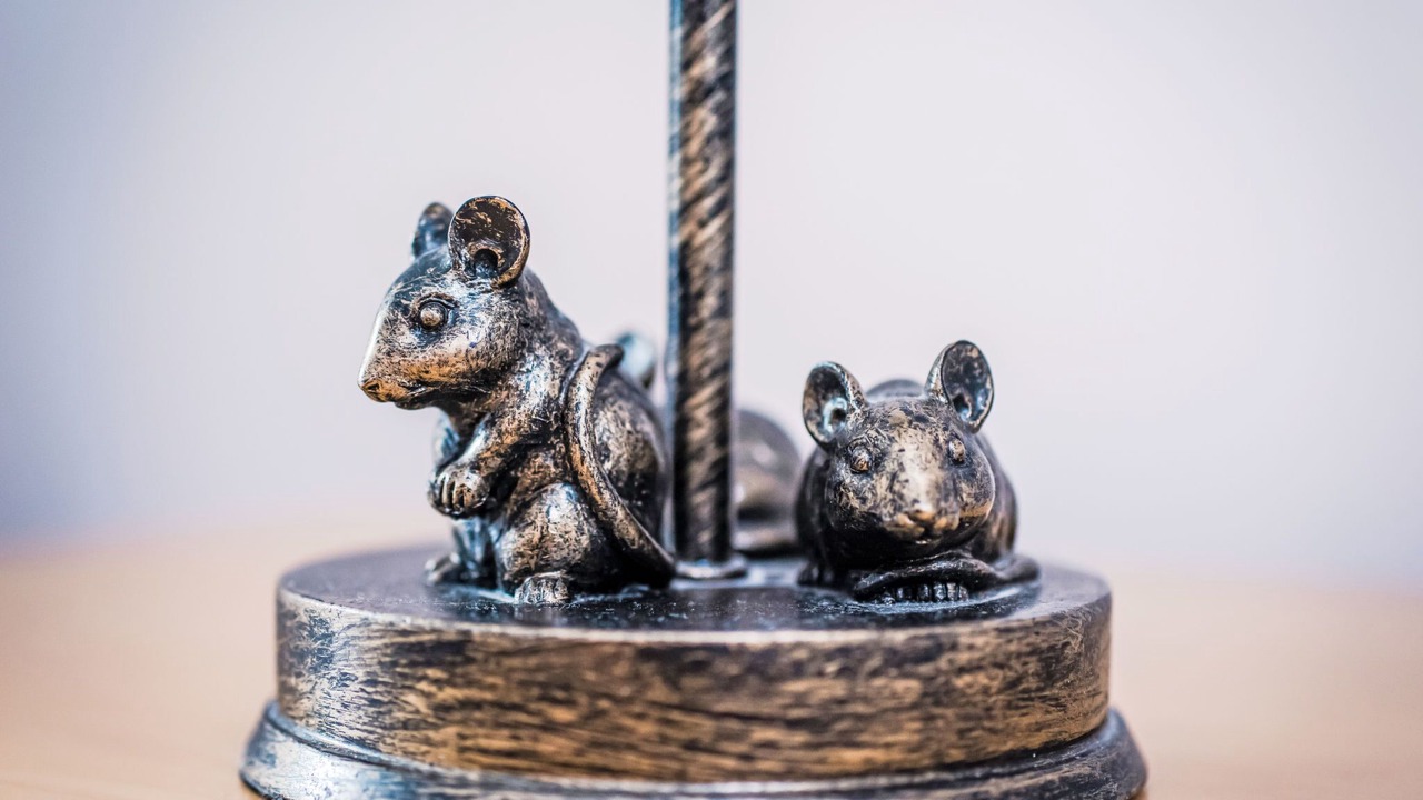 Photo of Others in Lewiston